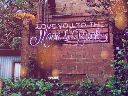 Love You To The moon & Back LED Neon Sign Online Hot Sale