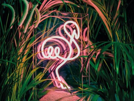 Flamingo Oudoor LED Neon Sign Box Online now