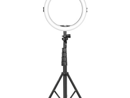 Digitek (DRL 12C) Professional (12 inch) LED Ring Light with Tripod Stand for Mobile Phones & Camera Online