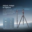 DIGITEK® (DTR 520 BH) 152CM Foldable Aluminum Tripod Cum Monopod with Swivel Pan Head, 4 Section Adjustment, 7kg Max Load, Max Operating Height: 4.95Ft, Compatible with DSLR Camera, Dv Video Camcorder For Discount