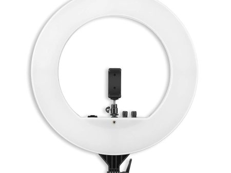 Digitek (DRL 018H) Professional 46 CM (18 inch) Big LED Ring Light with 2 Color Modes Dimmable Lighting, Photo-shoot, Video shoot, Live Stream, Makeup & more, Compatible with iPhone  Android Phones & Cameras Online Hot Sale