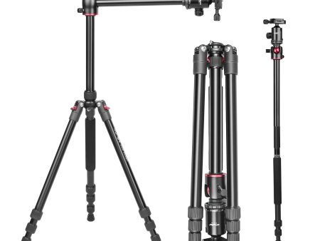 DIGITEK® (DTR 520 BH) 152CM Foldable Aluminum Tripod Cum Monopod with Swivel Pan Head, 4 Section Adjustment, 7kg Max Load, Max Operating Height: 4.95Ft, Compatible with DSLR Camera, Dv Video Camcorder For Discount