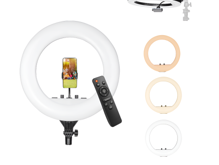 Digitek (DRL-18RT) Profesional (46cm) LED Ring Light with Remote Control, Runs on AC Power with No Shadow apertures, Ideal use for Makeup Artist, Video Shoot, Fashion Photography & Many More on Sale