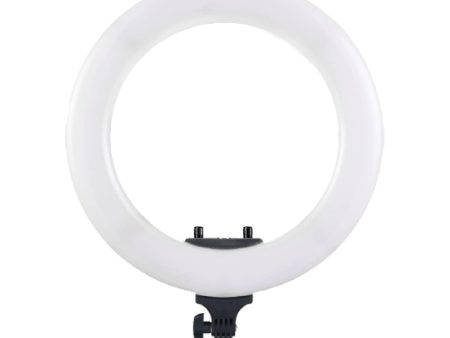 Digitek (DPRL-18) Platinum (Brighter than Normal) Professional Big LED Ring Light 46cm (18inch) with Powerful 432 Pcs SMD LED & 2 Color Temperature for YouTube Streaming, Photo Video shoot, Makeup & more For Discount