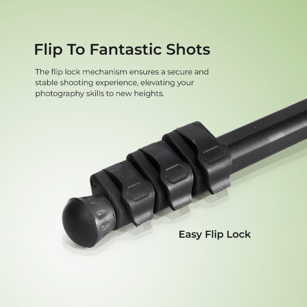 Digitek (DMP-55) Professional Monopod with Flip Lock, Max Load Capacity 4KG & Operating Height 160CM For Cheap