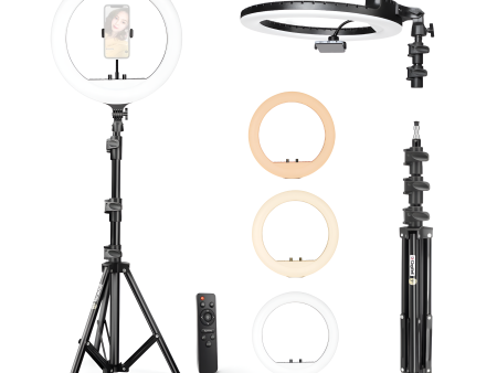 Digitek (DRL-18RT C6) Professional 46cm LED Ring Light with Remote & 158cm Light Stand, Runs on AC Power with No Shadow apertures, Ideal use for Makeup, Video Shoot, Fashion Photography & Many More Cheap